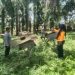 DDS Bhabinkamtibmas Polsek Kelayang, Polisi Cinta Petani dan Manisnya Madu