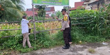 Giat Kontrol dan Perawatan Tanaman Jagung Pipil dalam Rangka Pelaksanaan Ketahanan Pangan Nasional