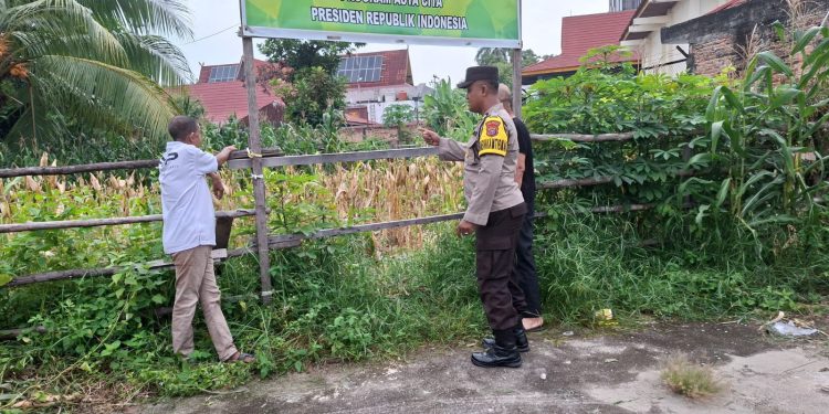 Giat Kontrol dan Perawatan Tanaman Jagung Pipil dalam Rangka Pelaksanaan Ketahanan Pangan Nasional