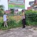 Giat Kontrol dan Perawatan Tanaman Jagung Pipil dalam Rangka Pelaksanaan Ketahanan Pangan Nasional
