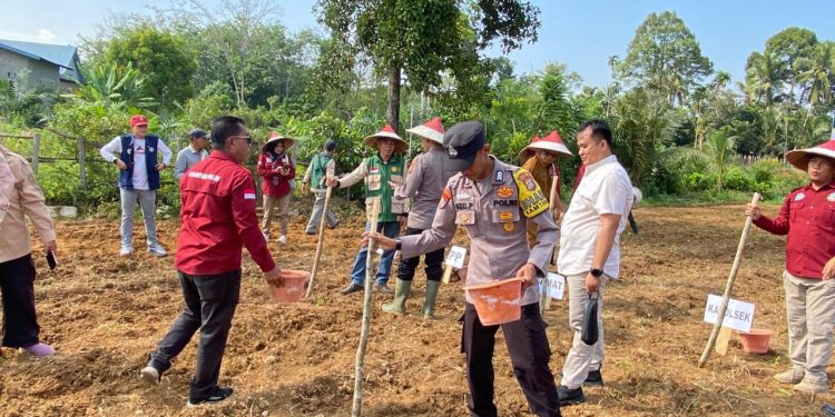 Dukung Program Asta Cita Presiden, Polsek Kuantan Hilir Bersama Forkopimcam Tanam Jagung Pipil di Kampung Madura