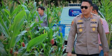 Ketahanan Pangan, Kapolres Siak AKBP Sepuh Ade Irsyam Siregar Instruksikan Polsek Jajaran Maksimalkan Pemanfaatan Lahan Kosong