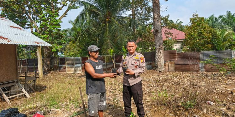 Peduli Lingkungan Bhabinkamtibmas Polsek Tambang Serahkan Lima Bibit Jeruk, Green Policing Polres Kampar