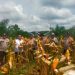 Lahan Tumpang Sari Berhasil – Kelompok Tani Karya Tani Panen 1000 Kg Jagung Pipil