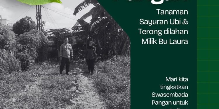 POLRESTA PEKANBARU HADIR DUKUNG KETAHANAN PANGAN, POLSEK LIMAPULUH CEK TANAMAN UBI DAN TERONG MILIK WARGA