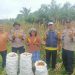 KELOMPOK TANI SRI UTAMI PANEN JAGUNG PIPIL 1 TON – SISTEM TUMPANG SARI DUKUNG SWASSEMBADA PANGAN 2026