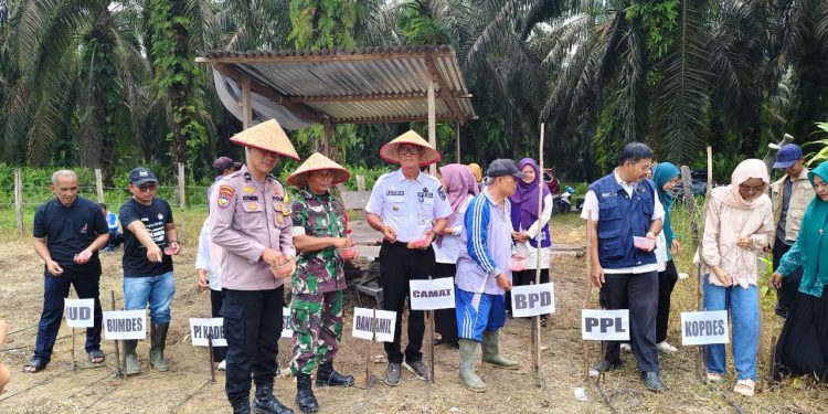 Polsek Singingi Hilir Dukung Ketahanan Pangan Lewat Penanaman Jagung Pipil Satu Hektar di Bukit Raya