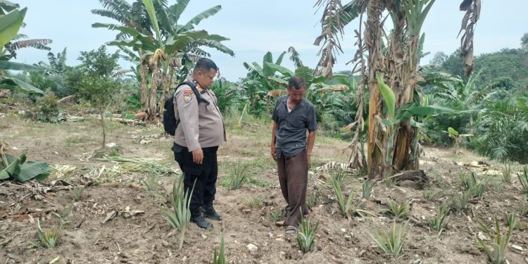 Polres Inhu Tingkatkan Kesadaran Masyarakat Pentingnya Ketahanan Pangan, Manfaatkan Lahan Secara Produktif