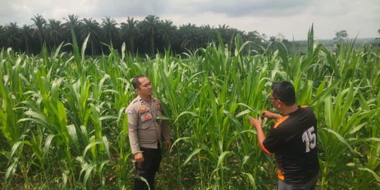 Kapolsek Bandar Sei Kijang Dukung Program Asta Cita Ketahanan Pangan