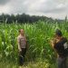 Kapolsek Bandar Sei Kijang Dukung Program Asta Cita Ketahanan Pangan