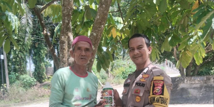 POLSEK TAPUNG SERAHKAN BANTUAN PUPUK CAIR KEPADA PETANI JAGUNG