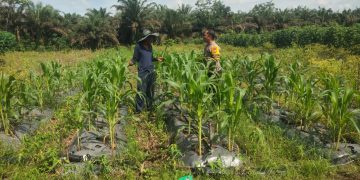 Kapolsek Bandar Sei Kijang Tegaskan Dukungan Penuh Ketahanan Pangan