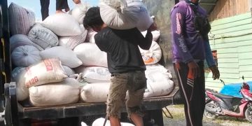 BHABINKAMTIBMAS POLSEK SINGINGI HILIR CINTA PETANI KAWAL DISTRIBUSI PANEN JAGUNG PIPIL KE BULOG