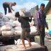 BHABINKAMTIBMAS POLSEK SINGINGI HILIR CINTA PETANI KAWAL DISTRIBUSI PANEN JAGUNG PIPIL KE BULOG