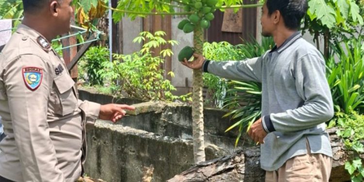 Pemantauan Perkembangan Lahan Poktani Warga Binaan Dalam Mendukung Ketahanan Pangan.