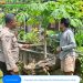 Pemantauan Perkembangan Lahan Poktani Warga Binaan Dalam Mendukung Ketahanan Pangan.