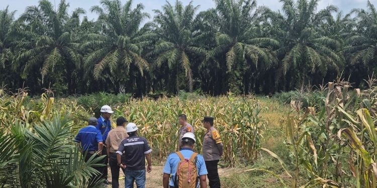 KAPOLSEK TAPUNG HULU PANTAU DAN SAMBANG PROGRAM KETAPANG DIDESA DANAU LANCANG