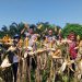 Panen Ketiga Jagung Pipil di Desa Lubuk Ramo, Wujud Dukungan Ketahanan Pangan di Kuantan Mudik