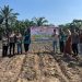 Polsek Ukui dan PT RAPP Tanam Jagung Hibrida 3 Hektar di Air Hitam, Dukung Swasembada Pangan Nasional