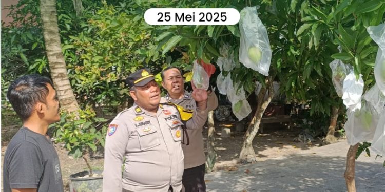 Polresta Pekanbaru Dorong Ketahanan Pangan, Polsek Bukit Raya Edukasi Warga Manfaatkan Pekarangan Rumah