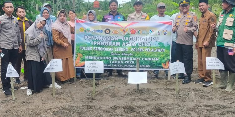Polsek Pangkalan Lesung Tanam Jagung Hibrida di Rawang Sari, Dukung Ketahanan Pangan Kuartal I 2026