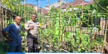 Pemantauan Perkembangan Lahan Poktani Warga Binaan Mendukung Ketahanan Pangan
