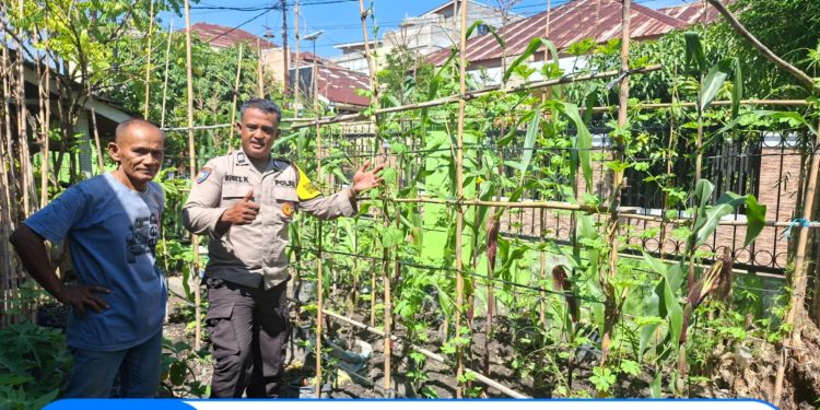 Pemantauan Perkembangan Lahan Poktani Warga Binaan Mendukung Ketahanan Pangan