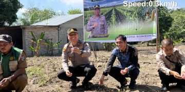 Polsek Langgam Tanam Jagung 0,5 Hektar di Pangkalan Gondai, Dukung Ketahanan Pangan Nasional
