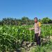 Polisi Cinta Petani, Bhabinkamtibmas Polsek LTD Cek Perkembangan Jagung Pipil di Desa Sukaraja.