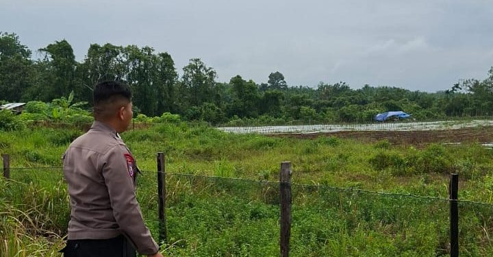 Dukung Ketahanan Pangan Polsek Benai Cek Kesiapan Lahan Penanaman Jagung Pipil di Desa Benai Kecil