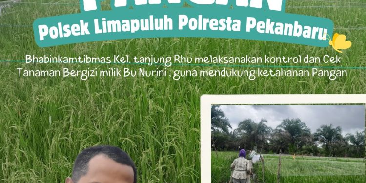 Polresta Pekanbaru Aktif Dukung Ketahanan Pangan, Polsek Limapuluh Monitoring Tanaman Bergizi Warga di Tanjung Rhu