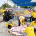 PWMOI Riau dan DNT Tour and Travel Sembelih 4 Ekor Sapi