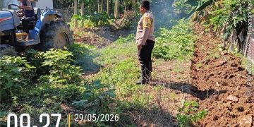 Polisi Cinta Petani, Polsek Kuantan Mudik Cek Penggemburan Lahan Tanaman Jagung di Desa Teluk Beringin