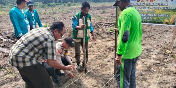 Polsek Pangkalan Kuras Dampingi KUD Sawit Harapan Jaya Tanam Jagung 3 Hektar program ketahanan pangan