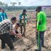 Polsek Pangkalan Kuras Dampingi KUD Sawit Harapan Jaya Tanam Jagung 3 Hektar program ketahanan pangan