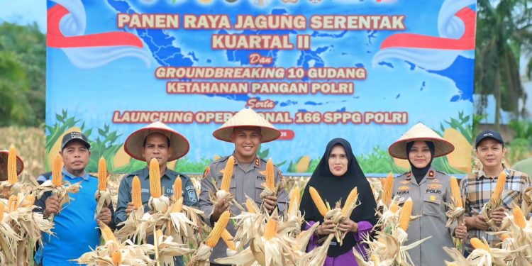 Perkuat Ketahanan Pangan Polres Siak Kelola 93,6 Hektar Lahan Jagung Dukung Swasembada Pangan Nasional