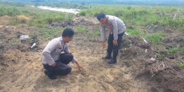 Polsek Kuantan Mudik Lakukan Pengecekan Tanaman Jagung, Dukung Program Swasembada Pangan Nasional 2026