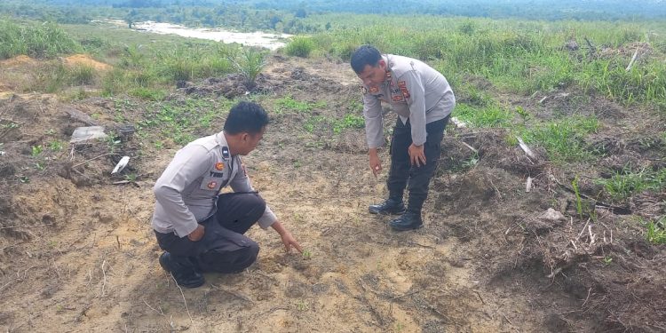 Polsek Kuantan Mudik Lakukan Pengecekan Tanaman Jagung, Dukung Program Swasembada Pangan Nasional 2026