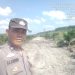 Polsek Ukui Monitoring Jagung 2 Hektar di Lubuk Kembang Sari, Tunas Muda Tumbuh Subur