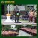KODIM 0313/KPR GELAR PEMBUKAAN PERSAMI KKRI TA 2026, BENTUK GENERASI MUDA TANGGUH MENUJU INDONESIA EMAS 2045