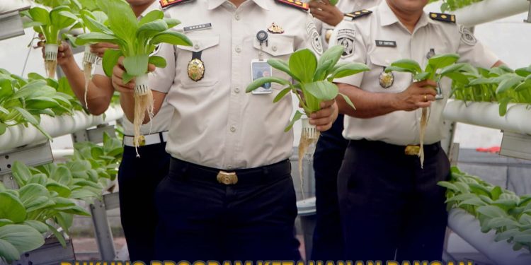 Dukung Program Ketahanan Pangan, Rutan Dumai Panen Pakcoy dan Cabai Rawit
