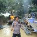 145 Rakit PETI Dimusnahkan oleh Personil Gabungan TNI-POLRI, Sat Pol PP, Damkar, BPBD dan Instansi Terkait, di Sepanjang Sungai Kuantan