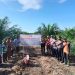 PENANAMAN JAGUNG PIPIL KUARTAL II BERLANGSUNG – POLSEK PERHENTIAN RAJA HADIR BERSAMA PETANI