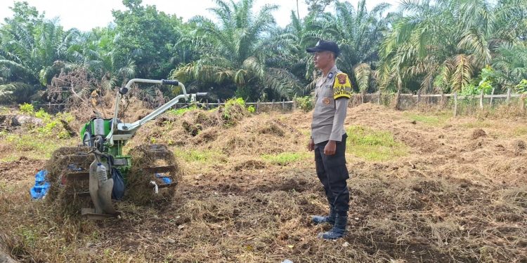 Polsek Logas Tanah Darat Cek Kesiapan Lahan Jagung di Desa Rambahan untuk Dukung Swasembada Pangan 2026