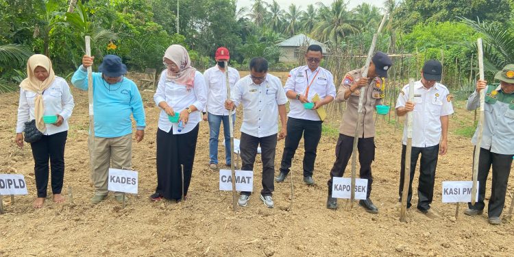 Polres Kuantan Singingi Dorong Ketahanan Pangan, Lahan Desa Pulau Kijang Disulap Jadi Kebun Jagung Pipil Produktif