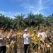 Panen Raya Jagung Pipil di Desa Sumber Datar, Polres Kuantan Singingi Perkuat Ketahanan Pangan Nasional.