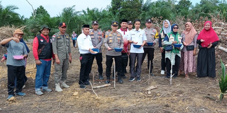 Polsek Bunut Tanam Jagung Hibrida NK 7328 di Merbau, Kawal Tumpang Sari 2 Hektare Dukung Ketahanan Pangan Presiden RI