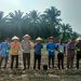 PENANAMAN BIBIT JAGUNG PIPIL DI LAHAN MONOKULTUR DESA SUKA DAMAI DALAM RANGKA MENDUKUNG PROGRAM ASTA CITA PRESIDEN REPUBLIK INDONESIA.