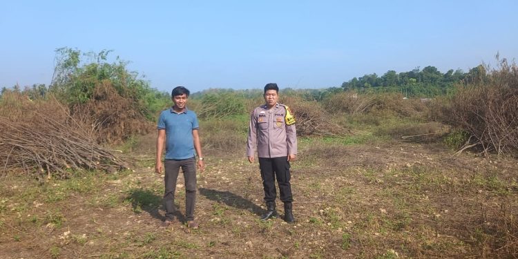 Dukung Swasembada Pangan Polsek Kuantan Mudik, Cek Lahan Jagung Pipil