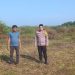 Dukung Swasembada Pangan Polsek Kuantan Mudik, Cek Lahan Jagung Pipil